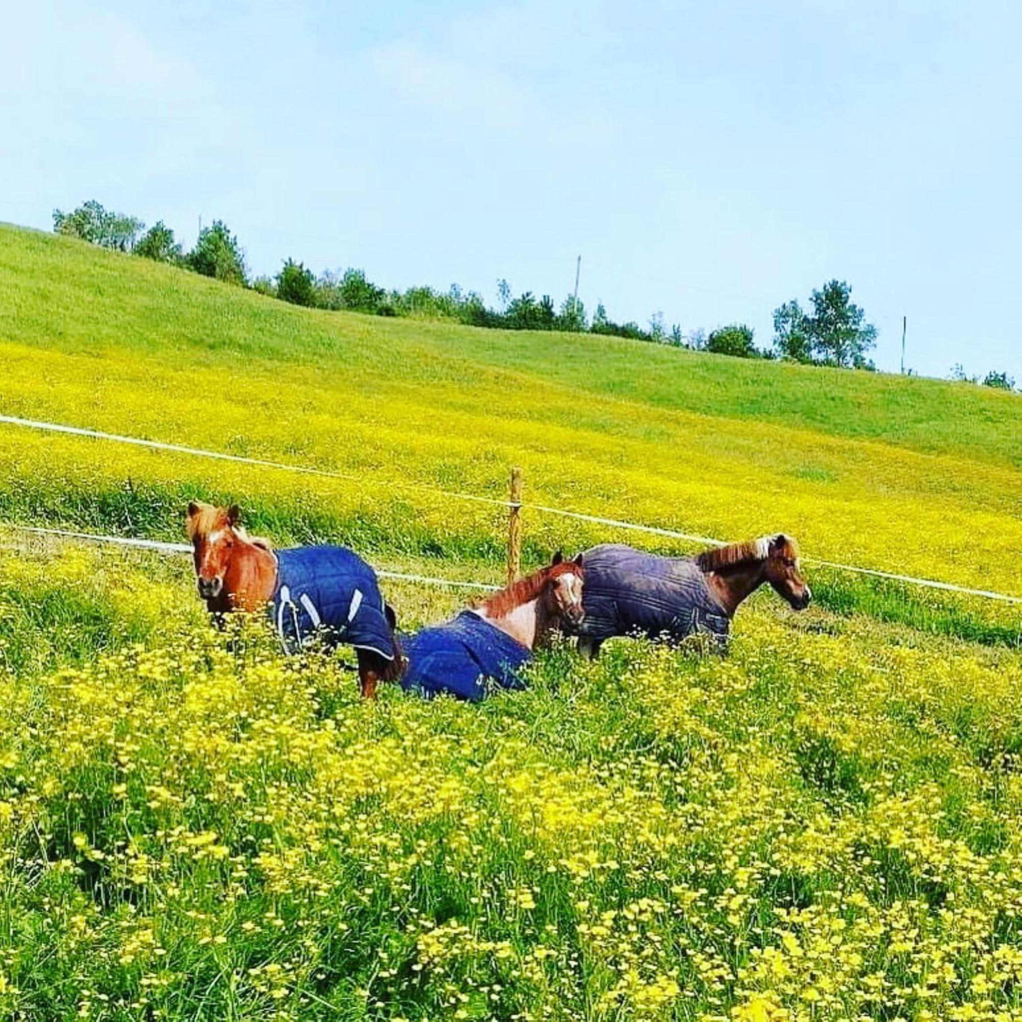 فيلا Relais Ca Del Rio Botteghino di Zocca المظهر الخارجي الصورة